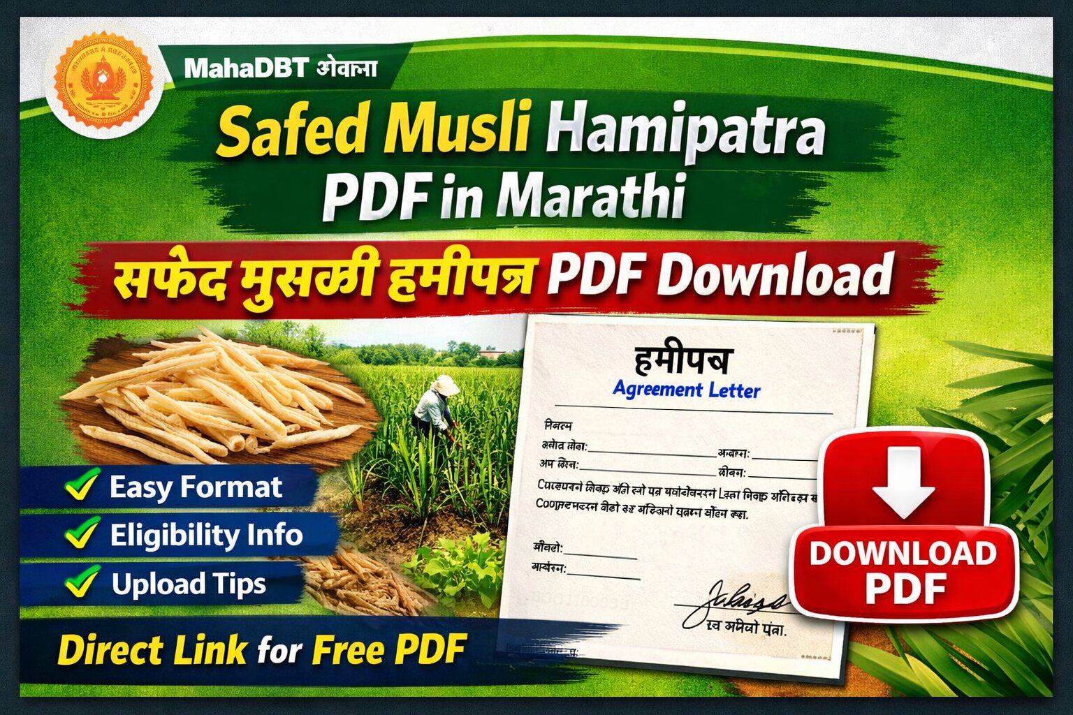 SAFED MUSLI HAMIPTR PDF DOWNLOAD